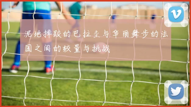 泥地摔跤的巴拉圭与华丽舞步的法国之间的较量与挑战
